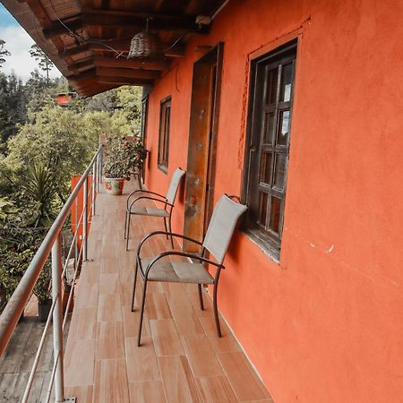 San Jose Del Pacifico- Cabanas Camino Al Cielo 2 Экстерьер фото