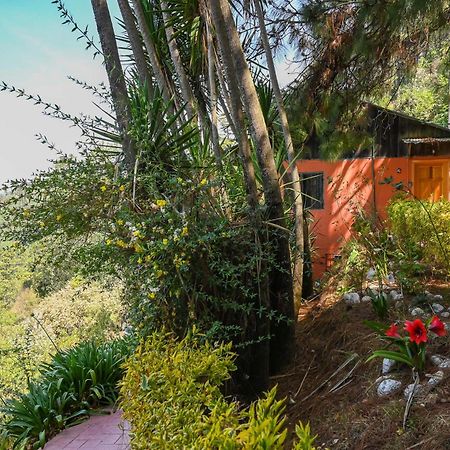 San Jose Del Pacifico- Cabanas Camino Al Cielo 2 Экстерьер фото