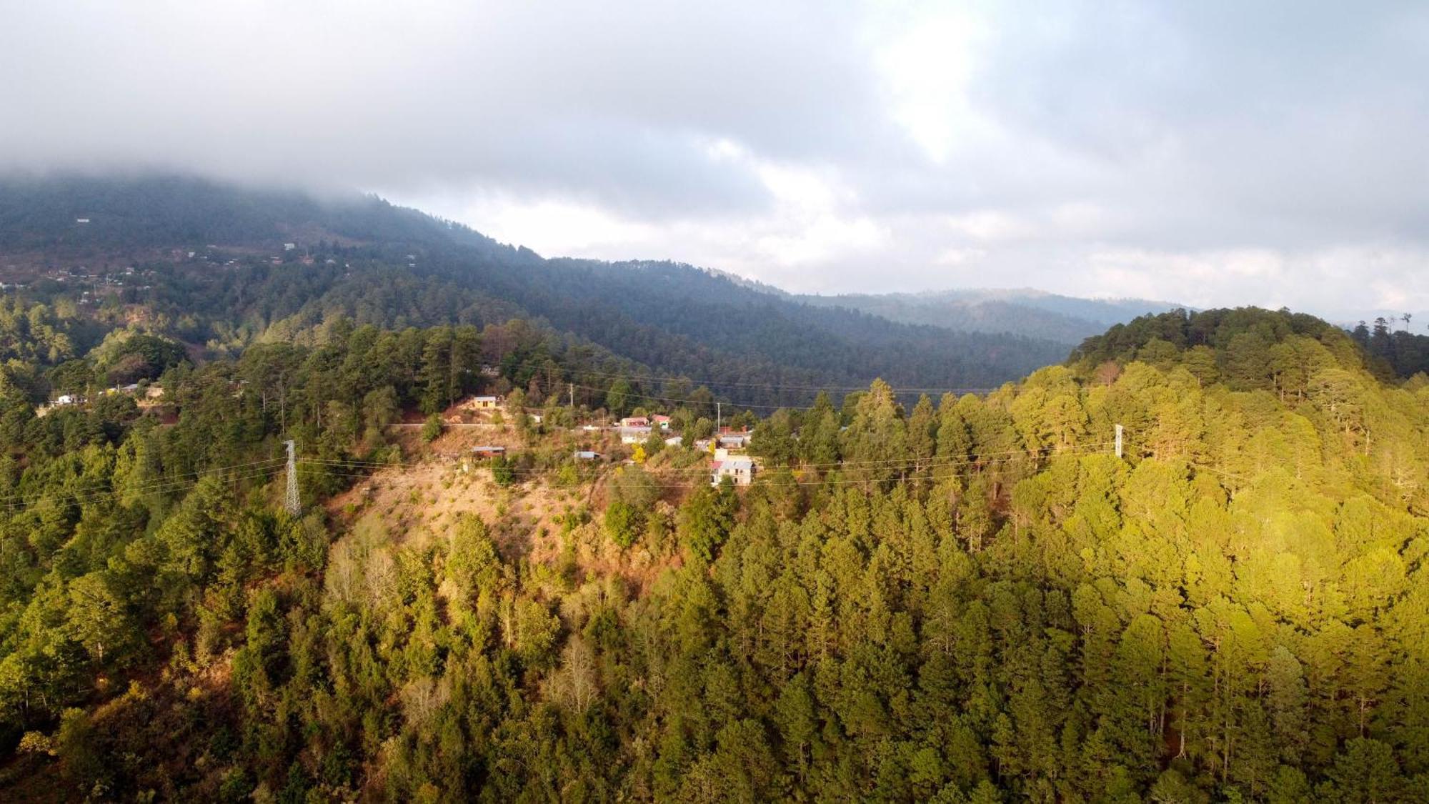 San Jose Del Pacifico- Cabanas Camino Al Cielo 2 Экстерьер фото