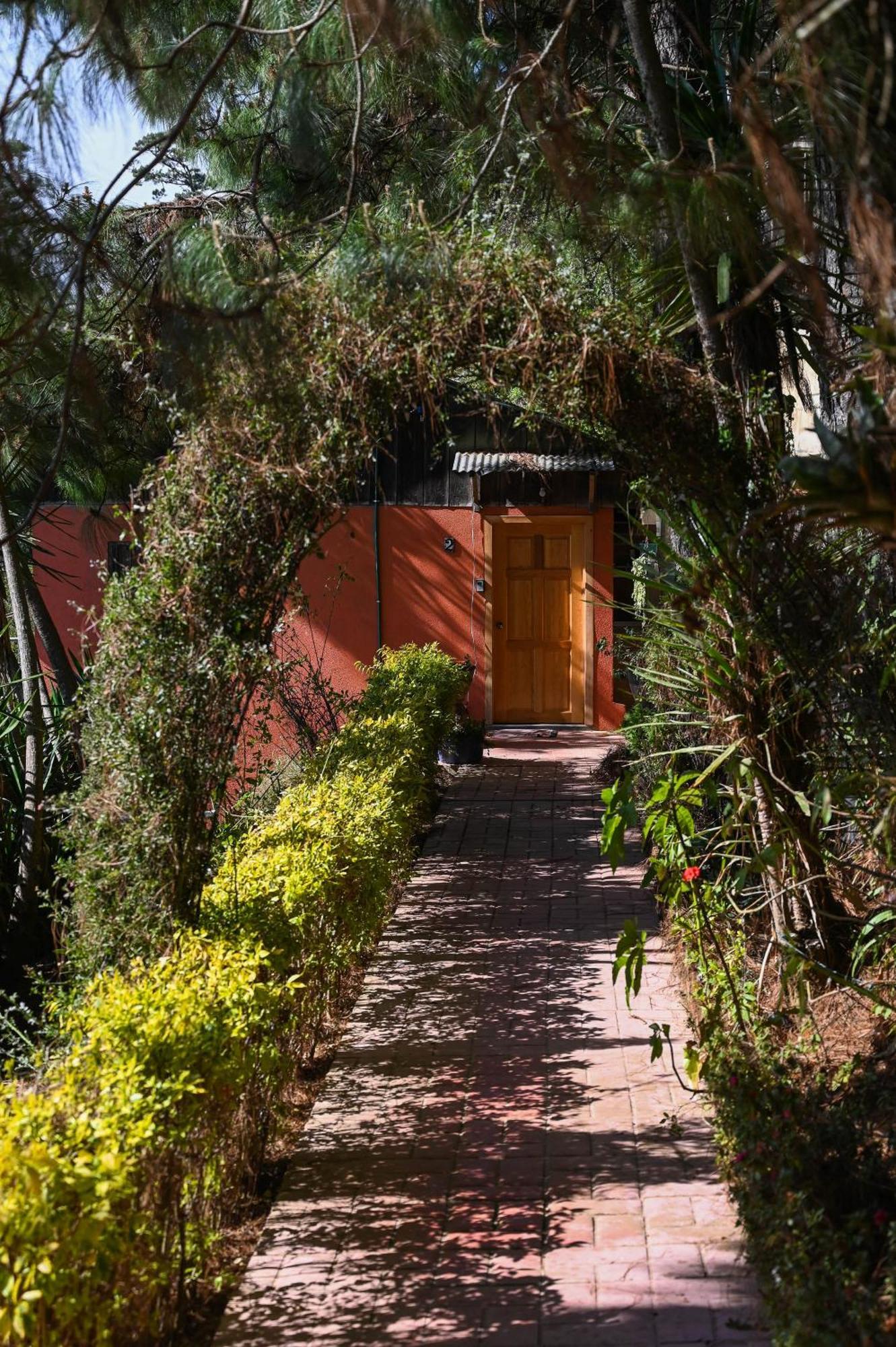San Jose Del Pacifico- Cabanas Camino Al Cielo 2 Экстерьер фото